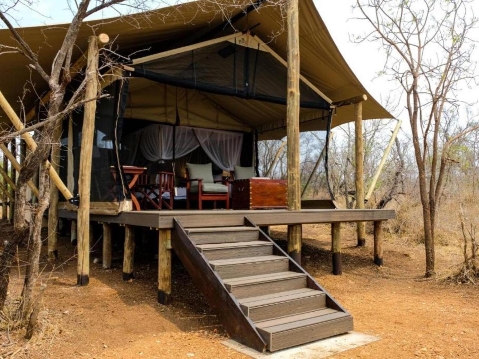 Honeyguide Tented Safari Camps - Mantobeni Manyeleti Game Reserve Værelse billede